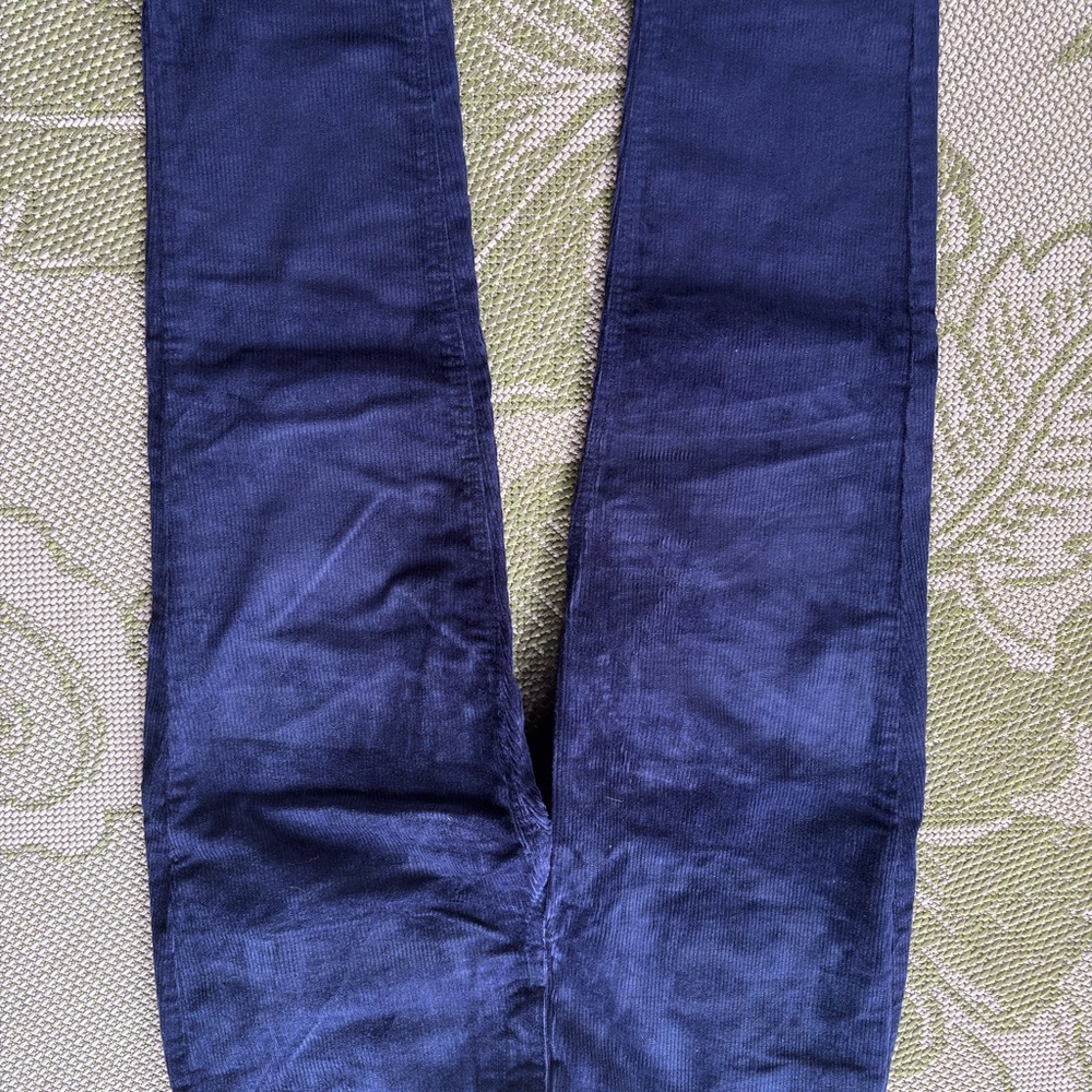 Isaac Mizrahi Deep Blue Corduroy Trousers